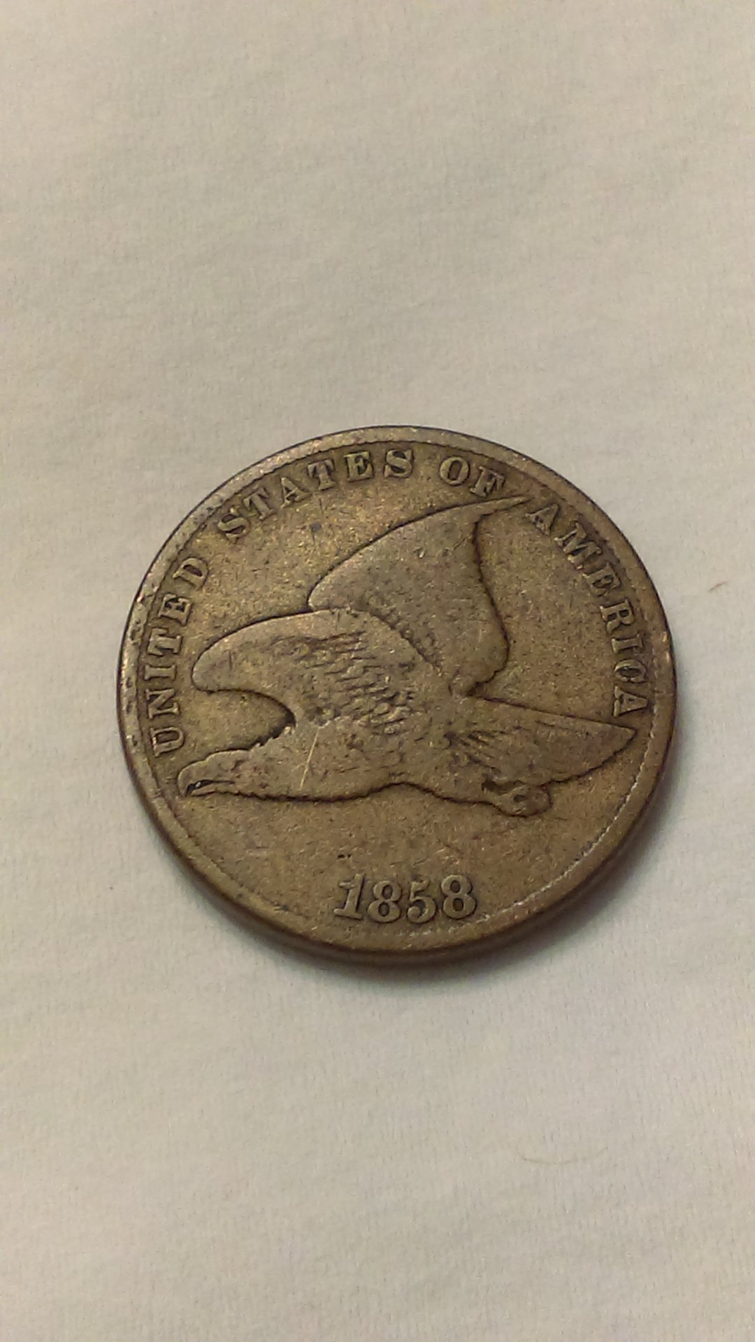 IMAG1315.jpg