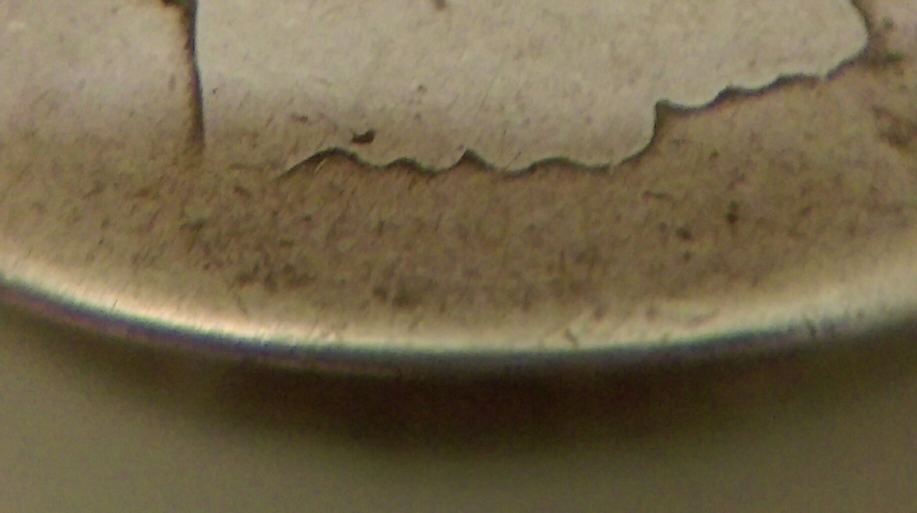IMAG1316_1.jpg