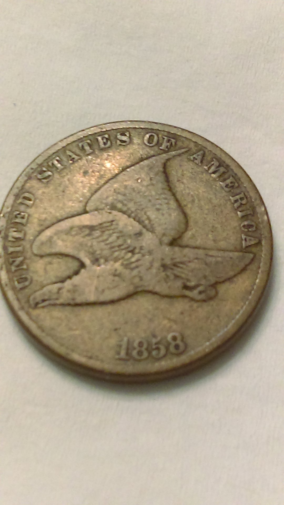 IMAG1317.jpg