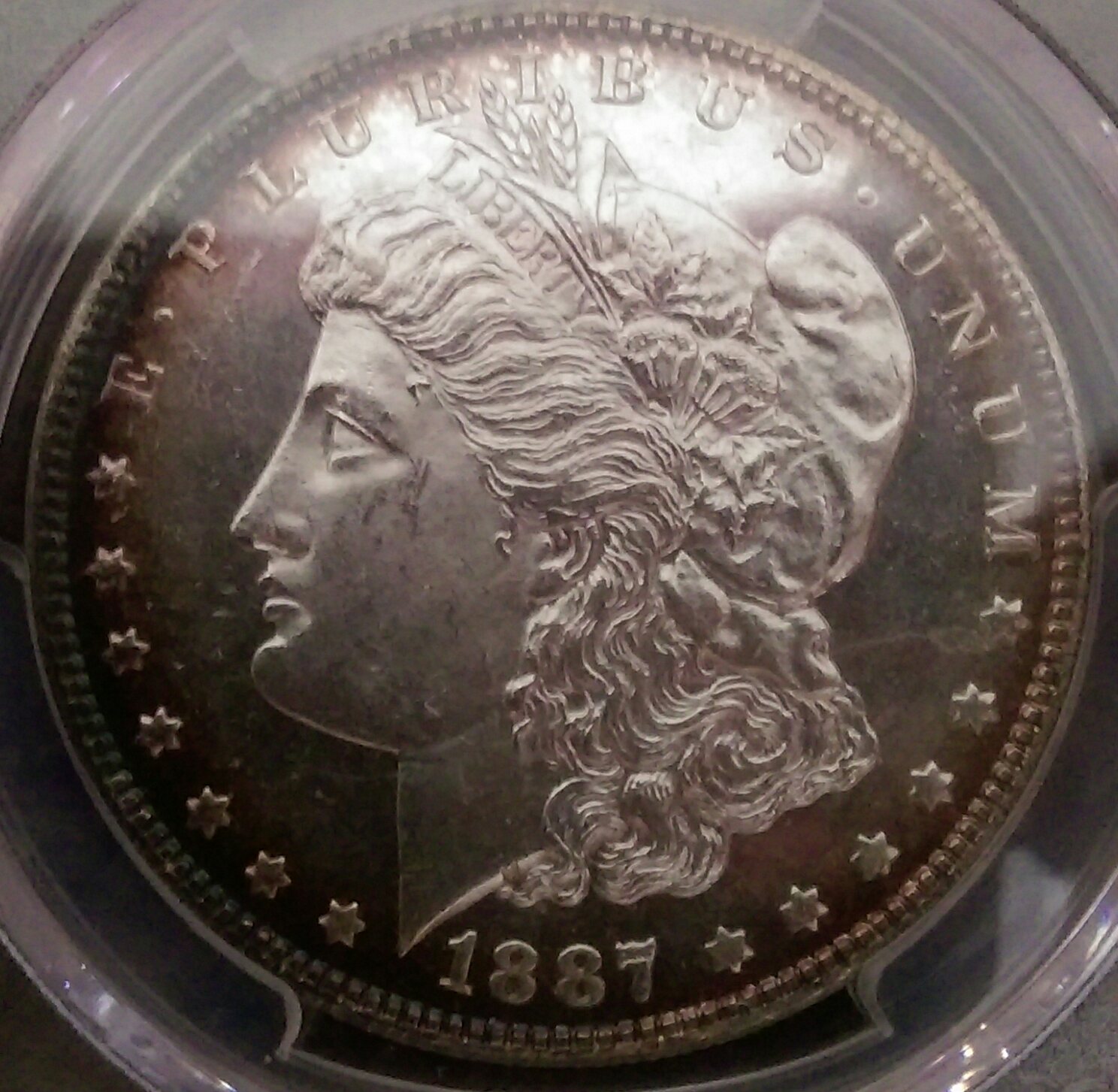 IMAG1352_1.jpg
