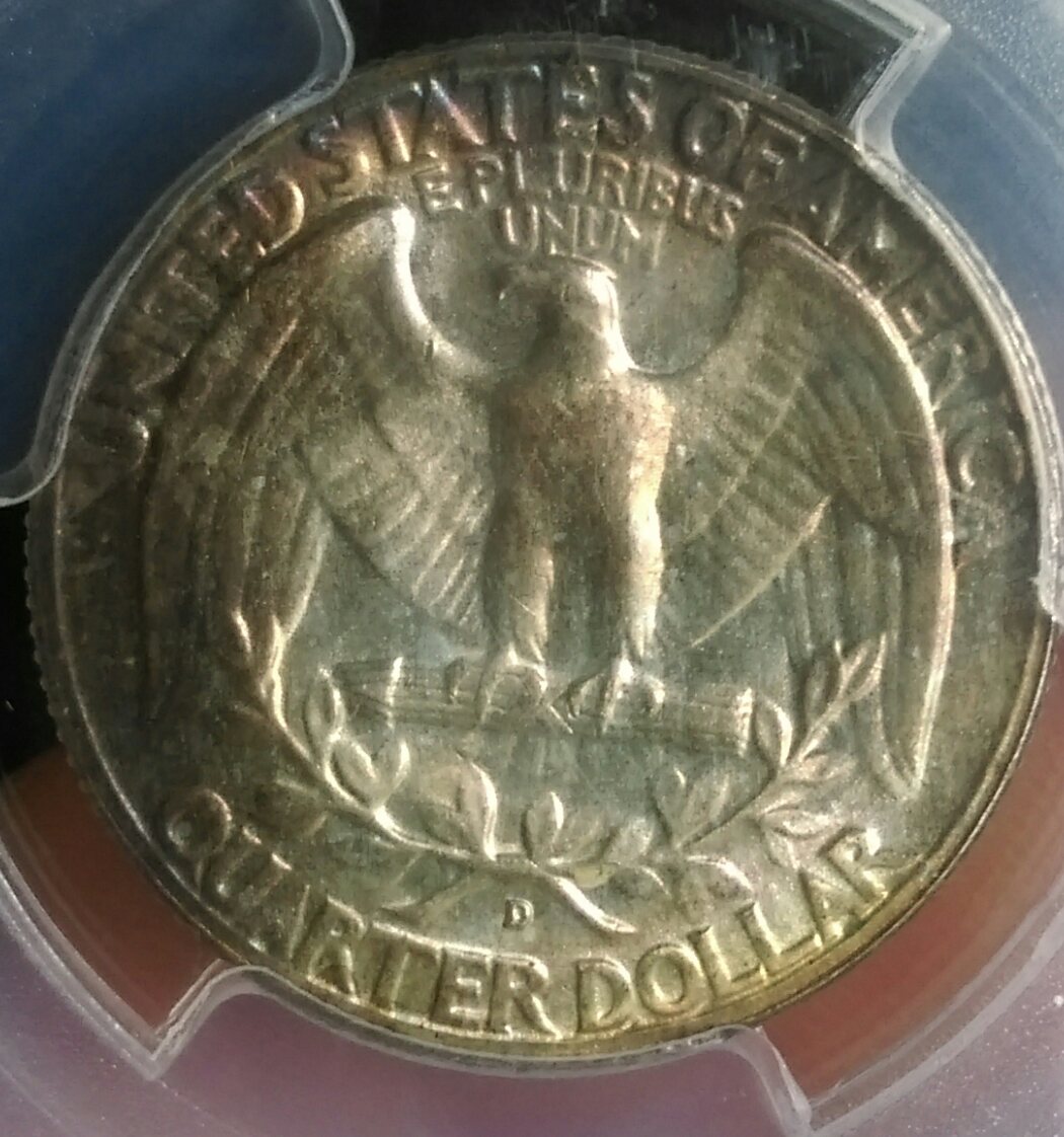IMAG1374_1.jpg