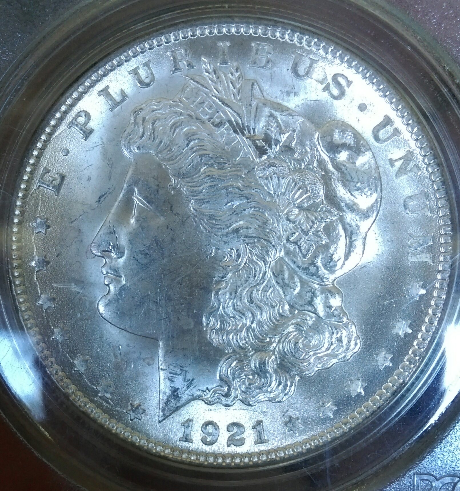IMAG1444_1.jpg