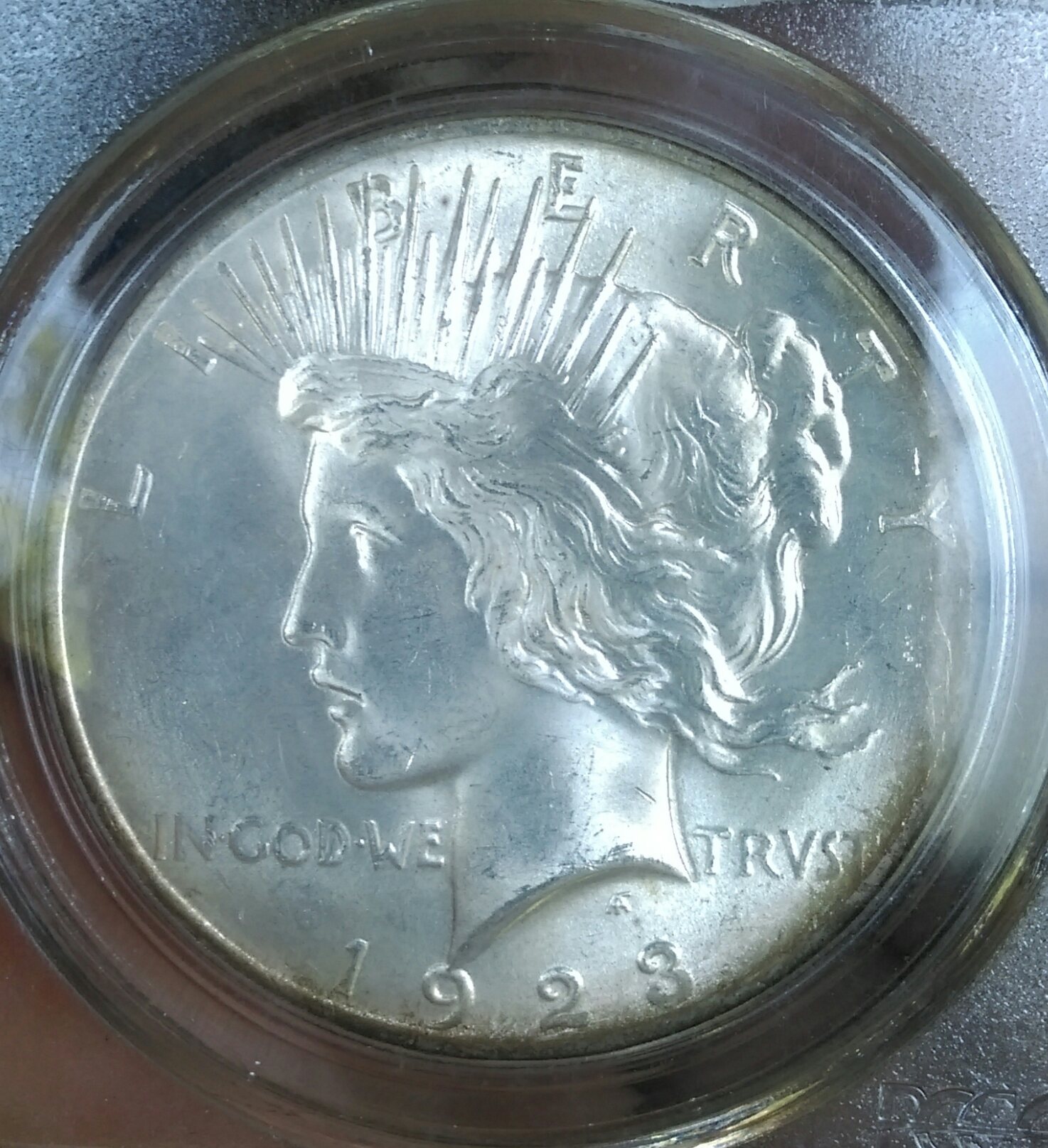 IMAG1463_1.jpg