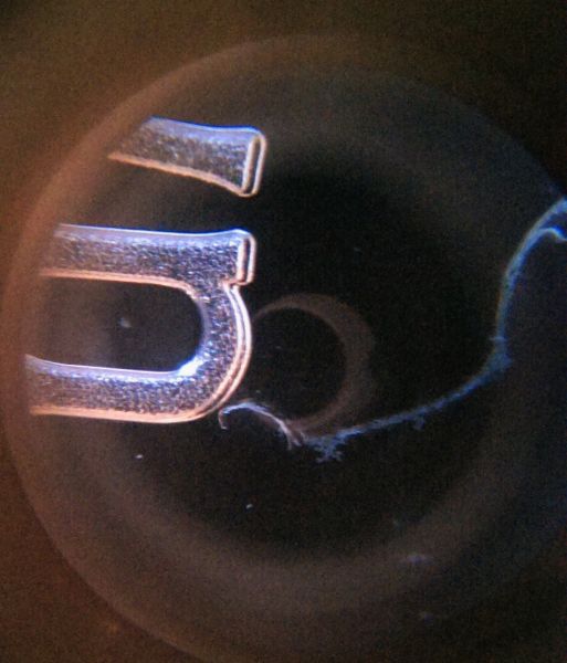 IMAG1563_opt.jpg