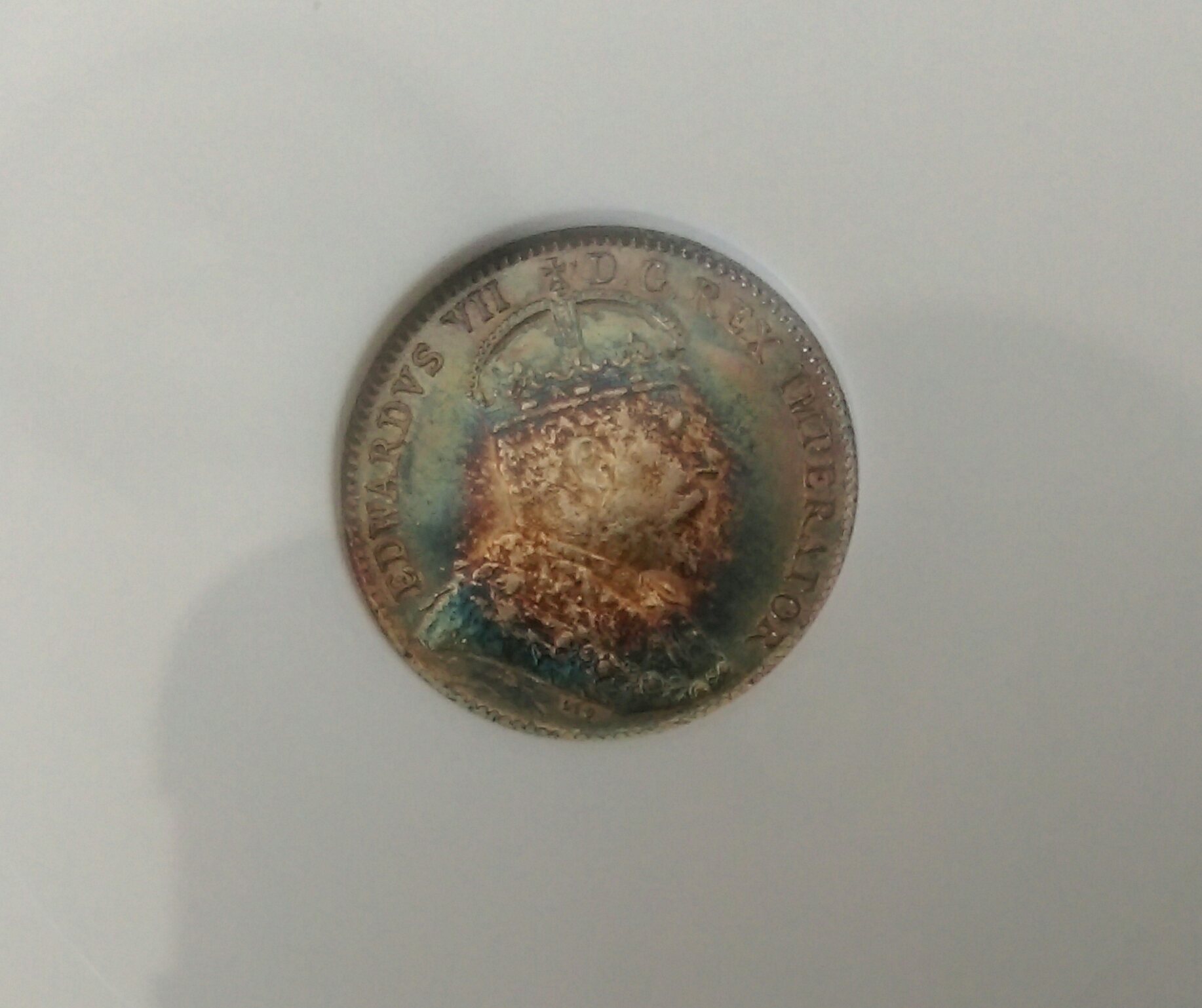 IMAG1571_1.jpg