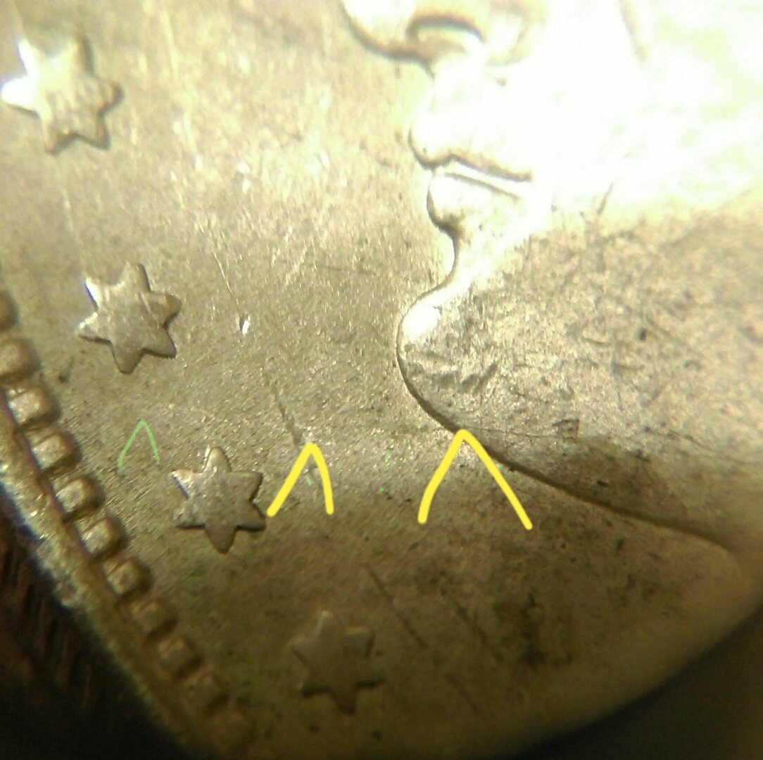 IMAG1582_1_1.jpg