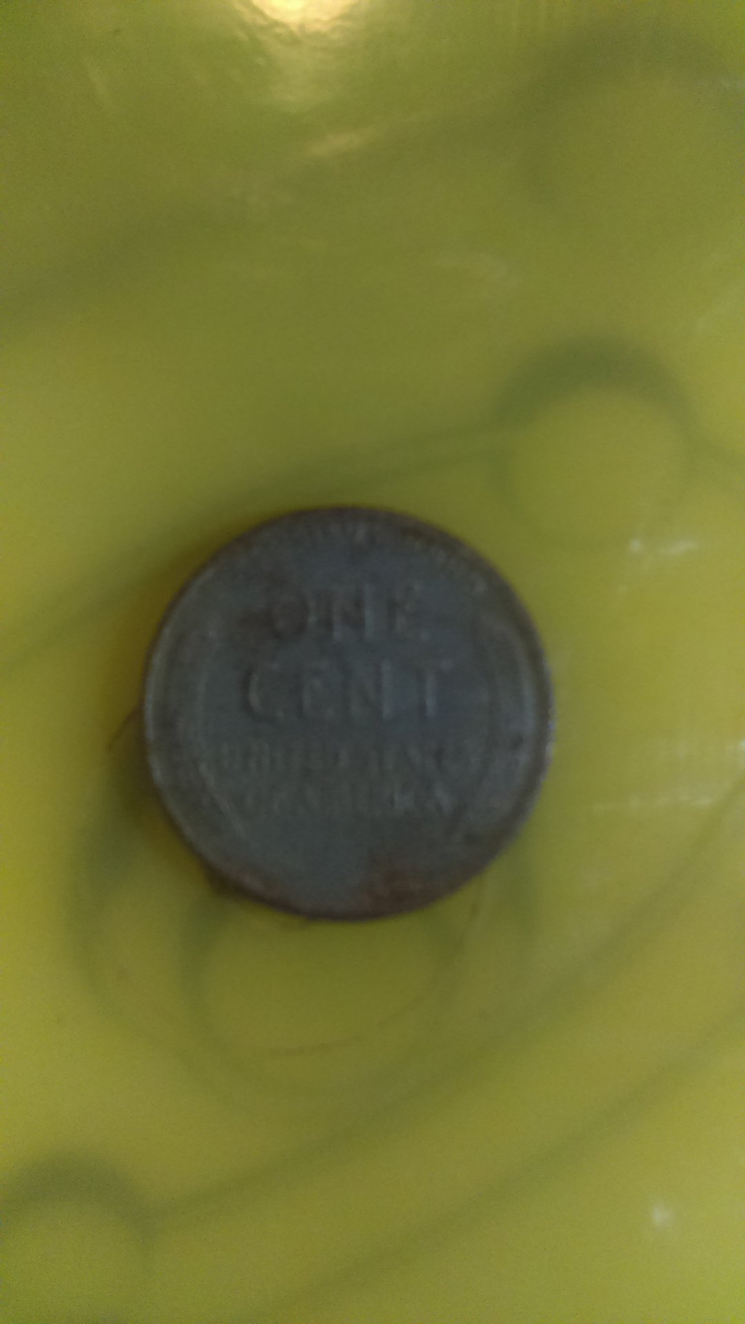IMAG1606.jpg