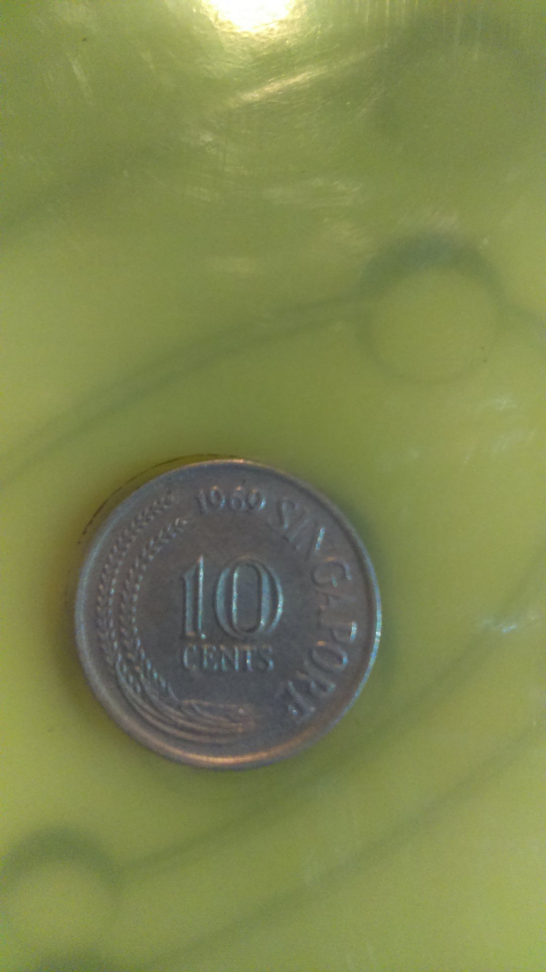 IMAG1608.jpg
