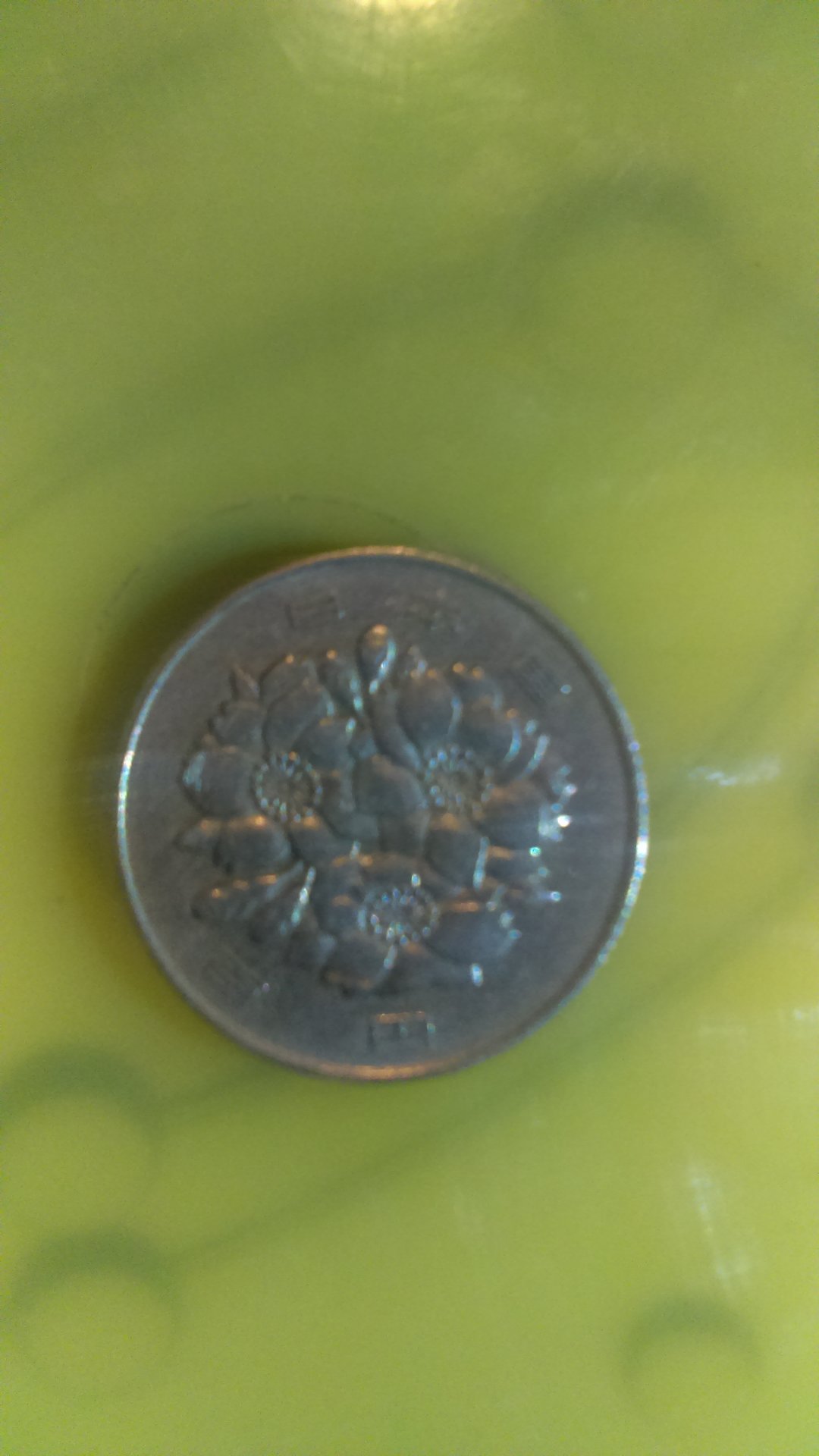 IMAG1616.jpg