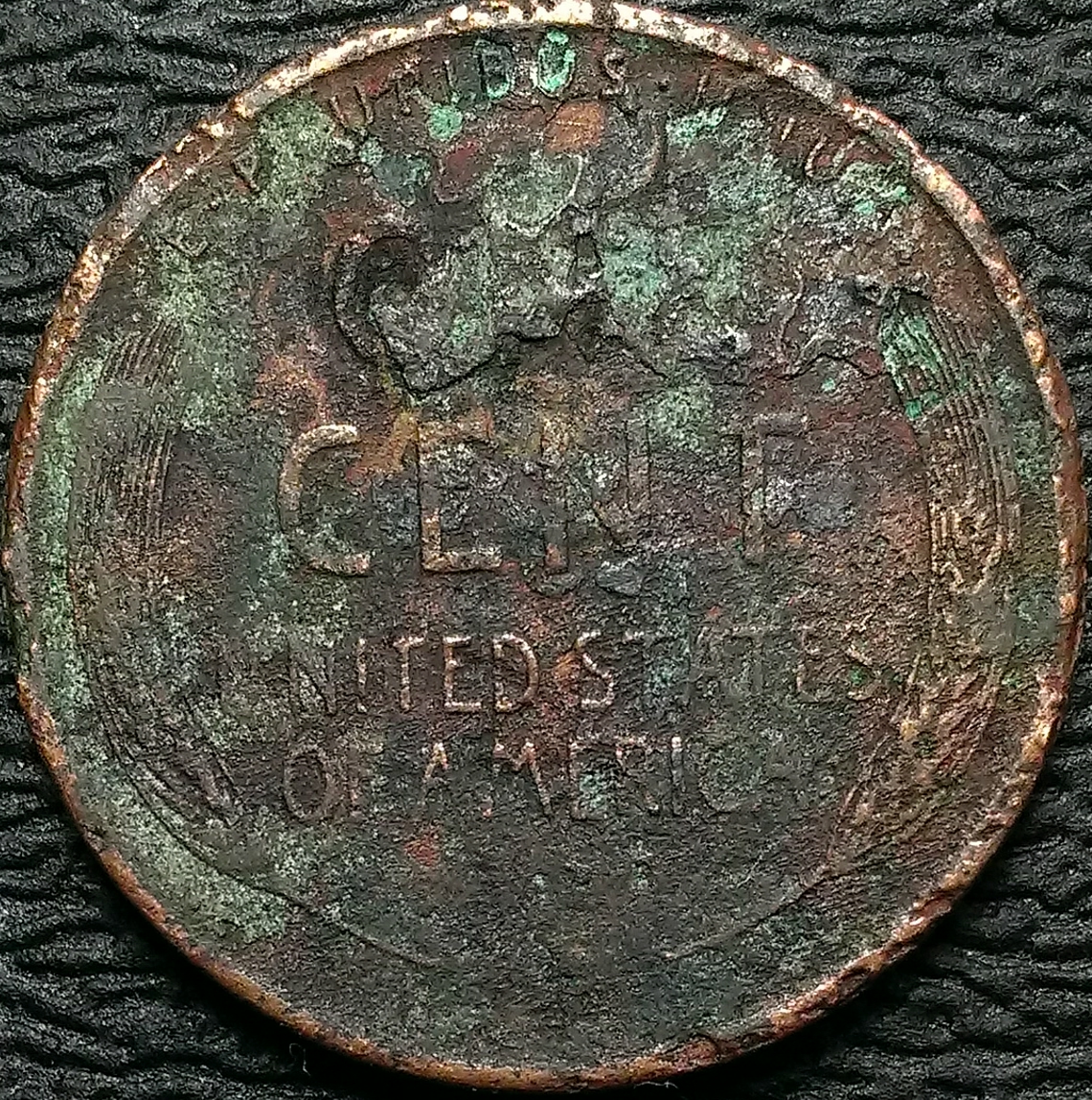 IMAG1647_1.jpg