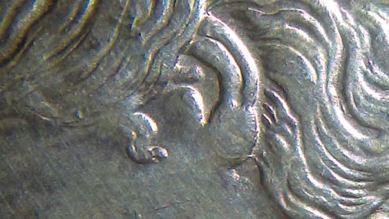 IMAG1702_opt.jpg