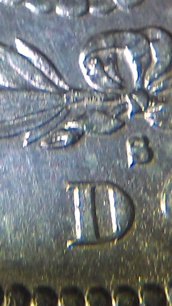 IMAG1710_opt.jpg