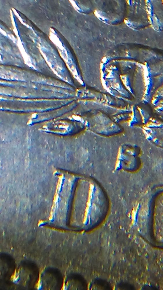 IMAG1713_opt.jpg