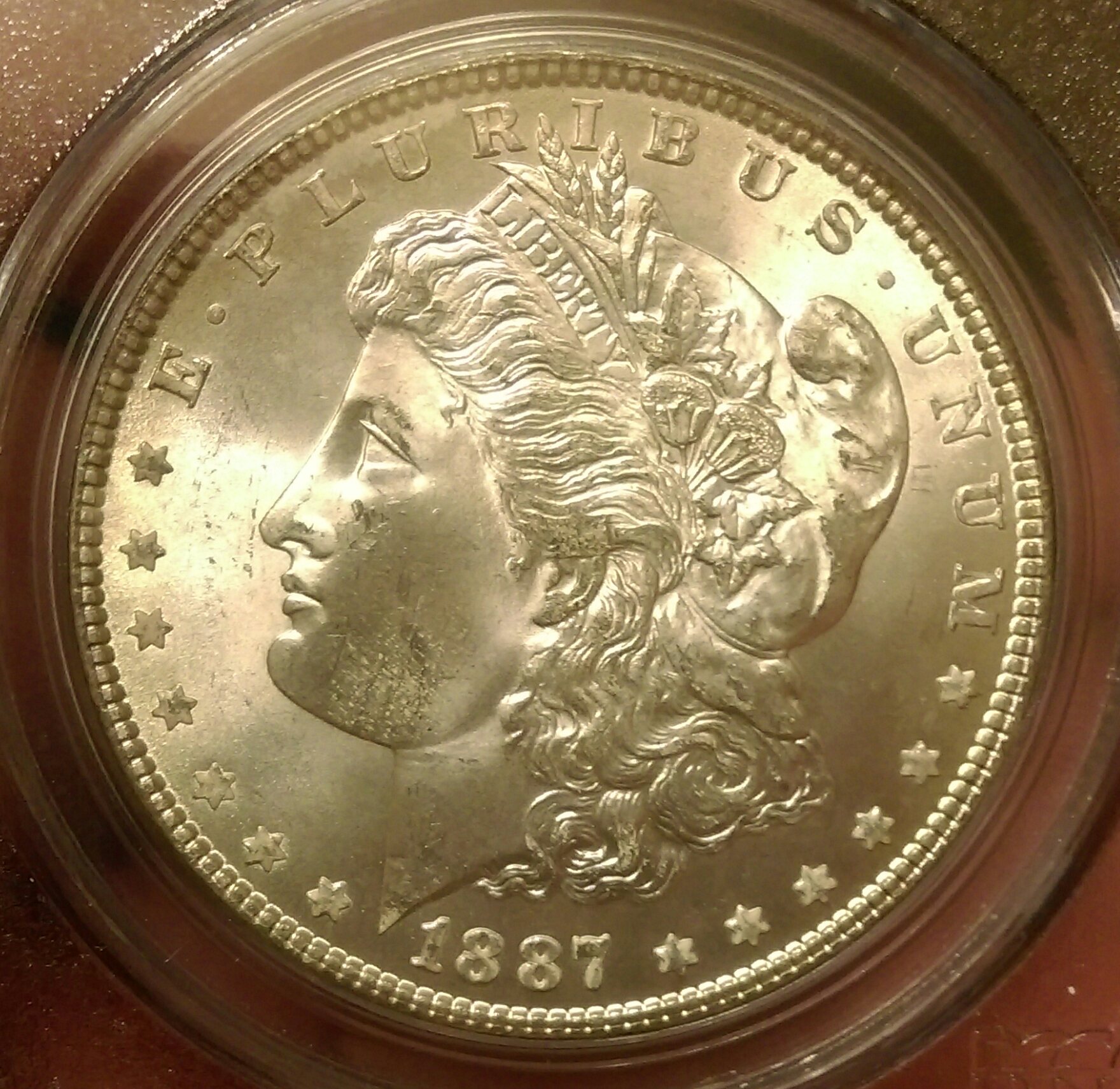 IMAG1841_1.jpg