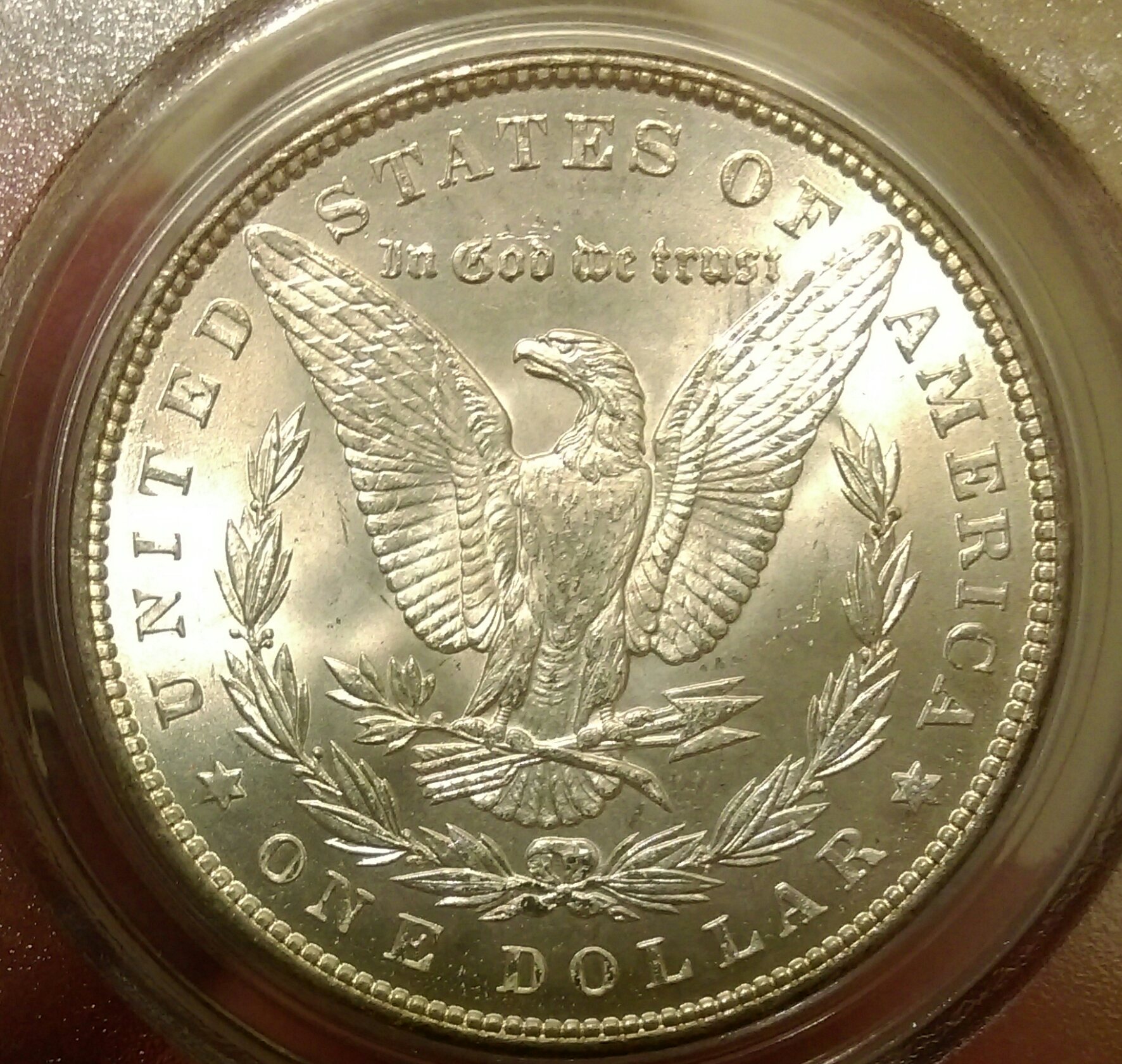 IMAG1846_1.jpg