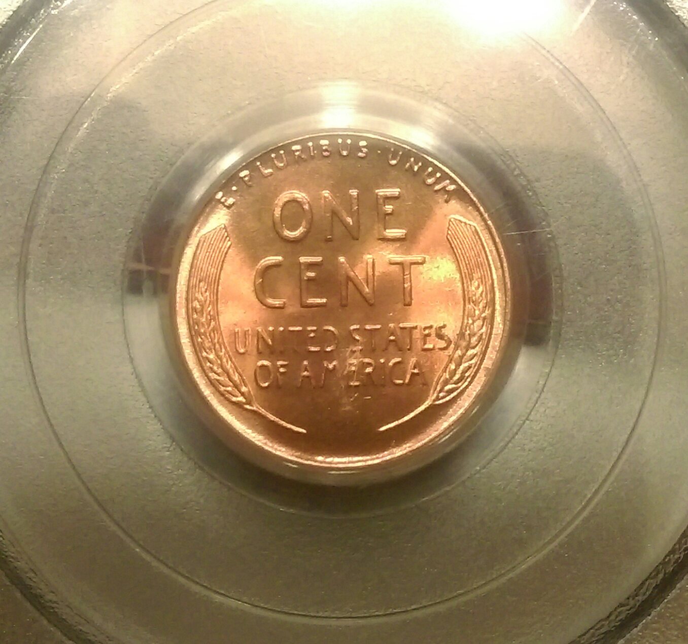 IMAG1923_1.jpg