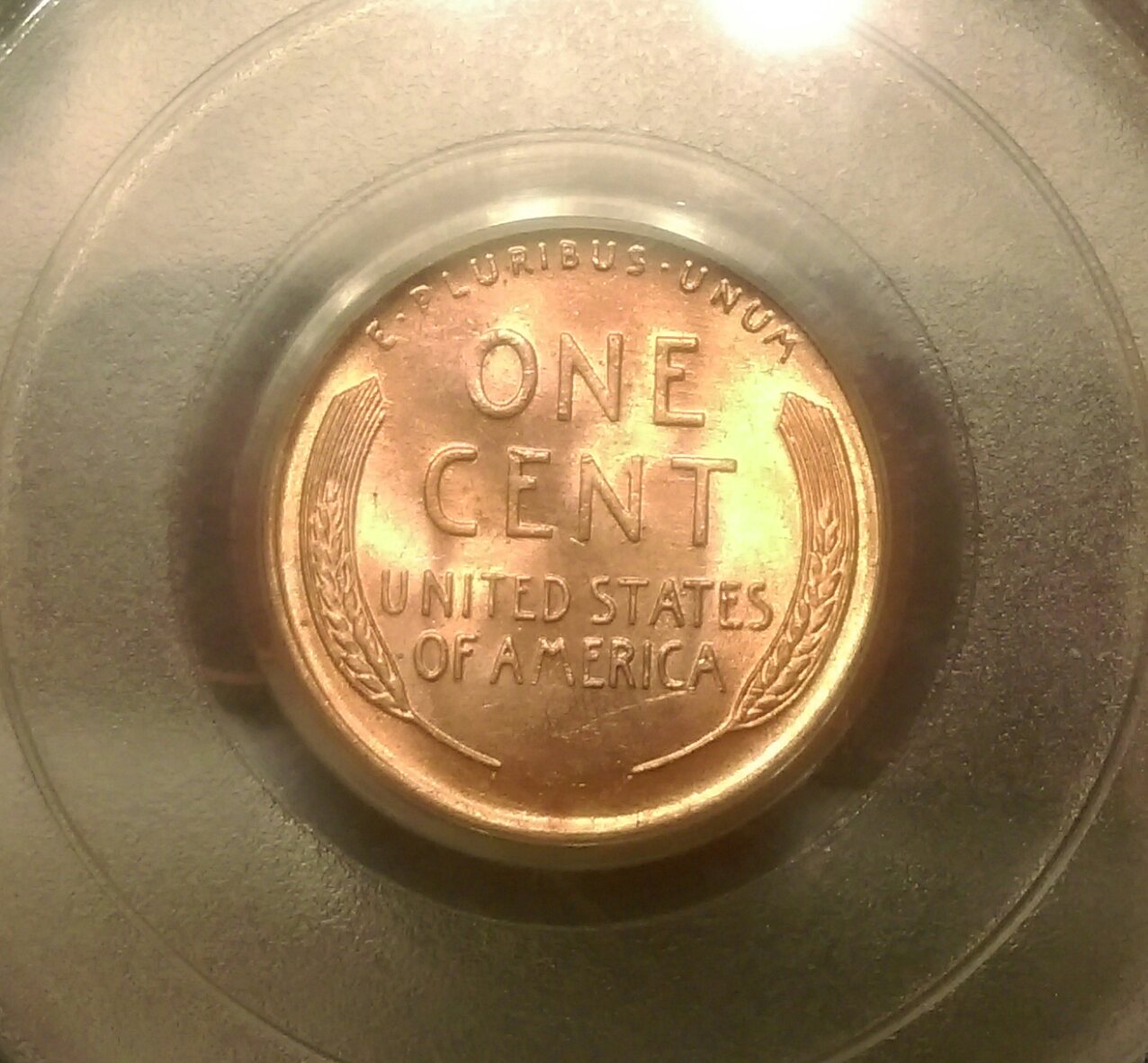 IMAG1930_1.jpg