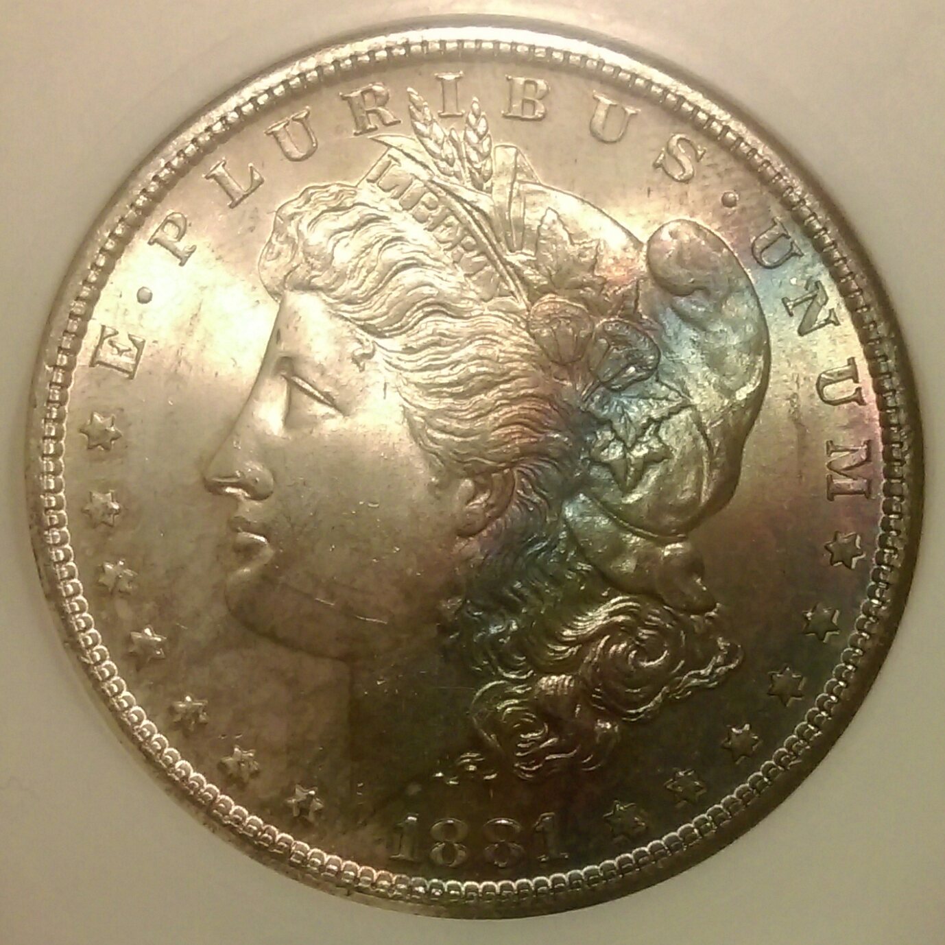 IMAG2135_1.jpg