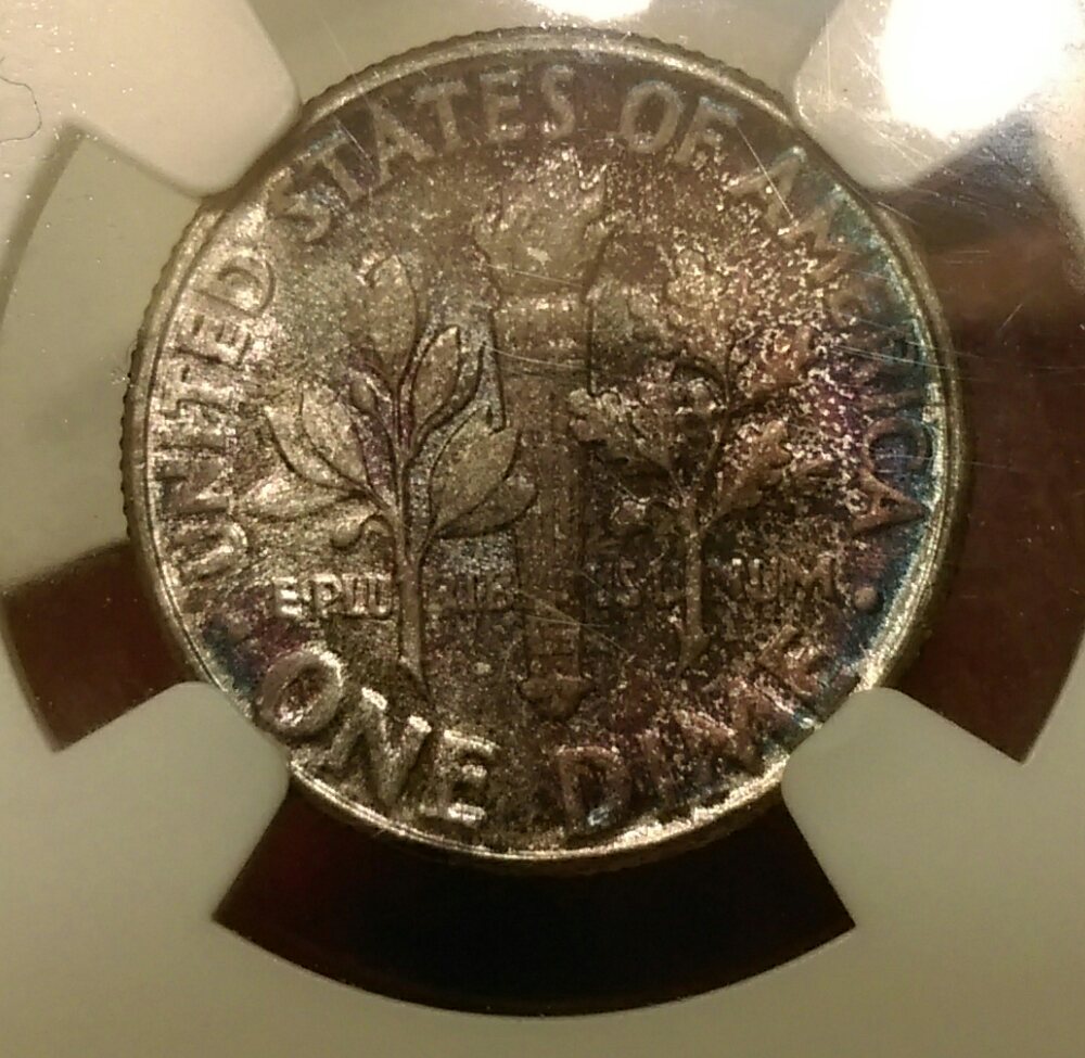 IMAG2304_1.jpg
