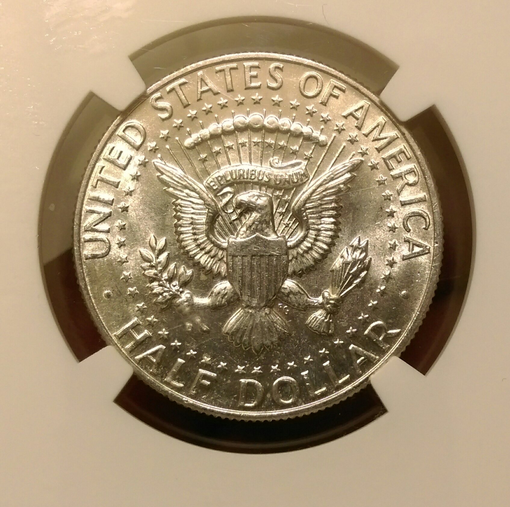 IMAG2332_1.jpg