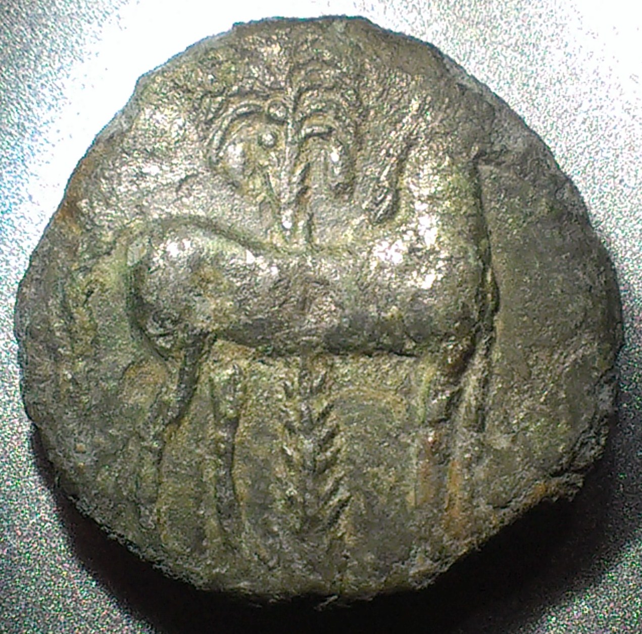 IMAG2404.jpg