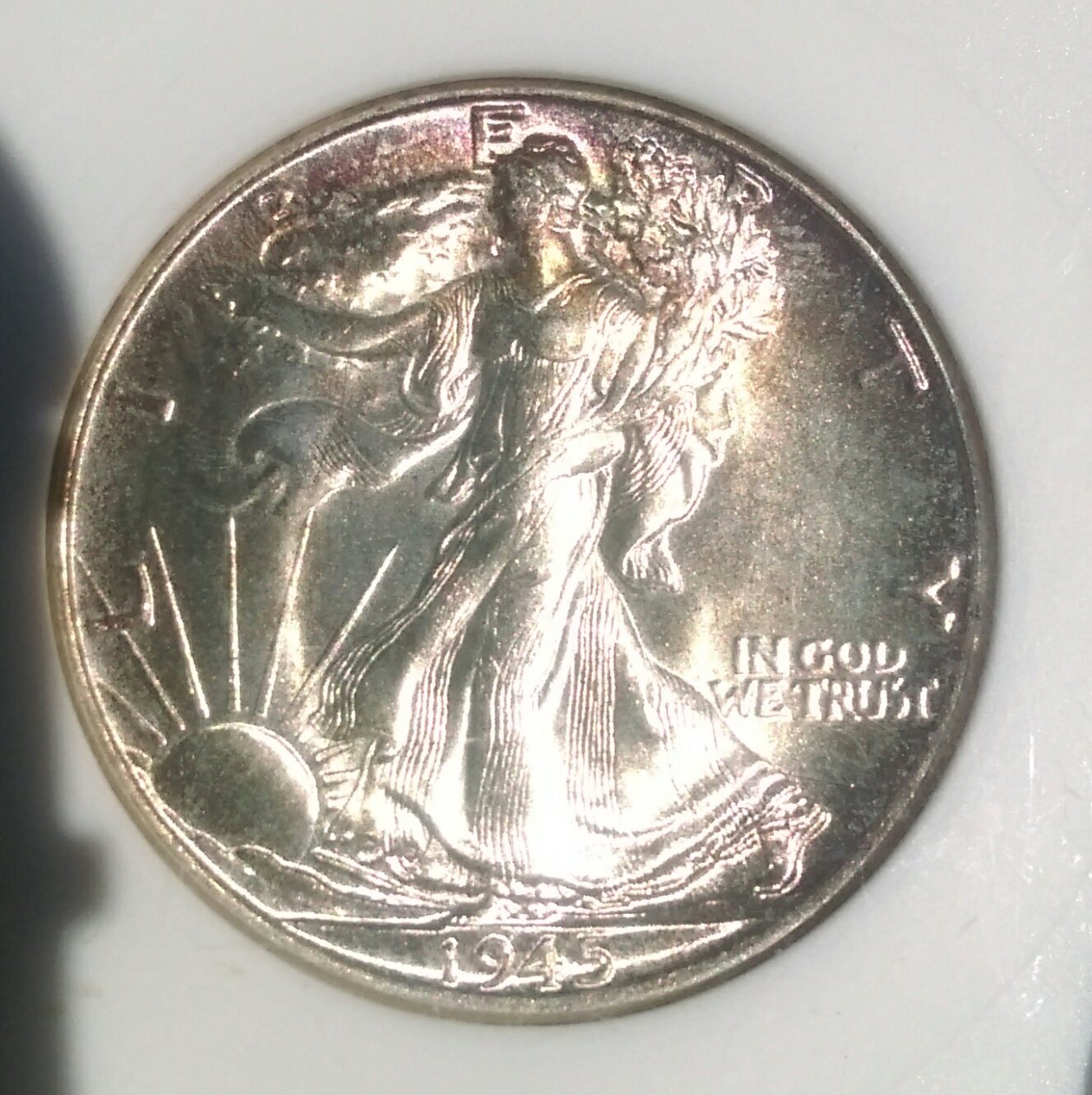IMAG2447_1.jpg