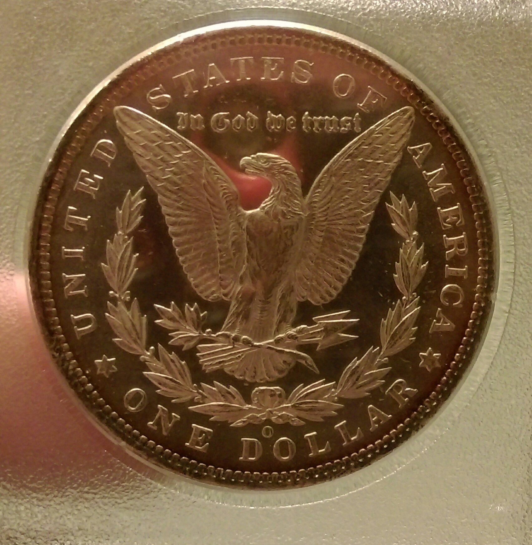 IMAG2505_1.jpg