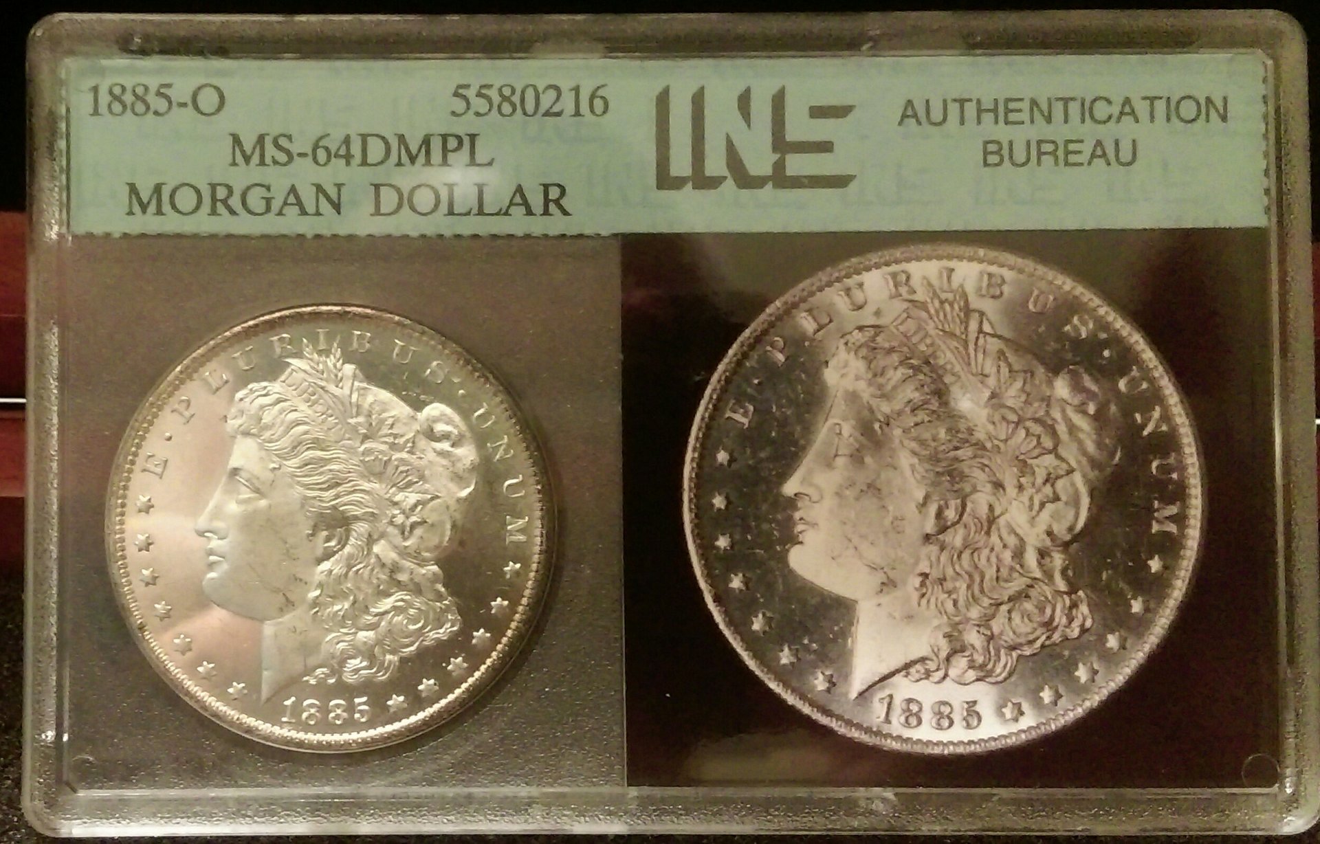 IMAG2551_1.jpg