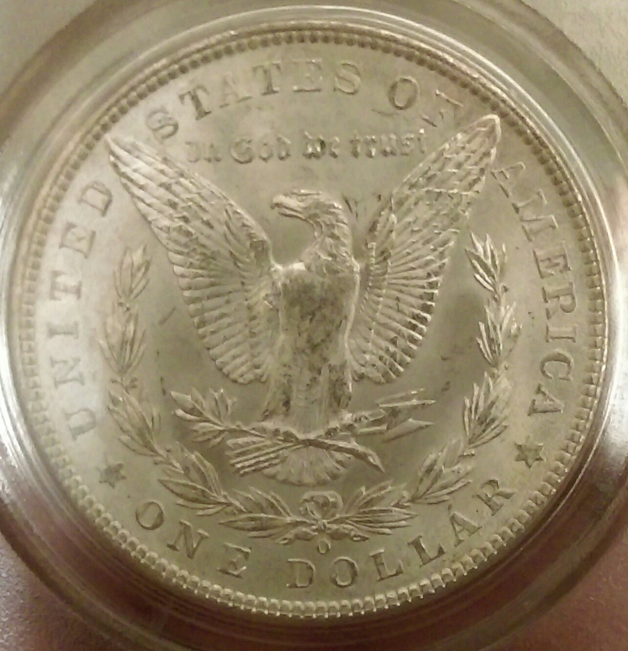 IMAG2619_1.jpg