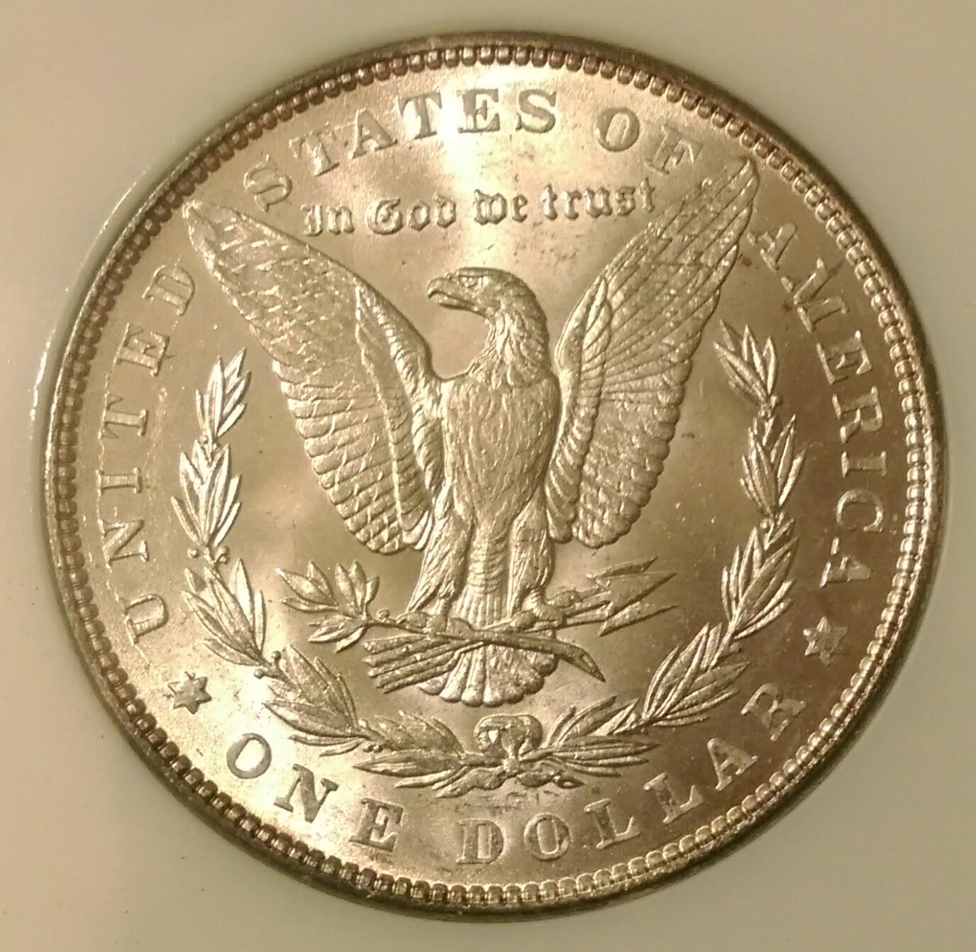 IMAG2626_1.jpg