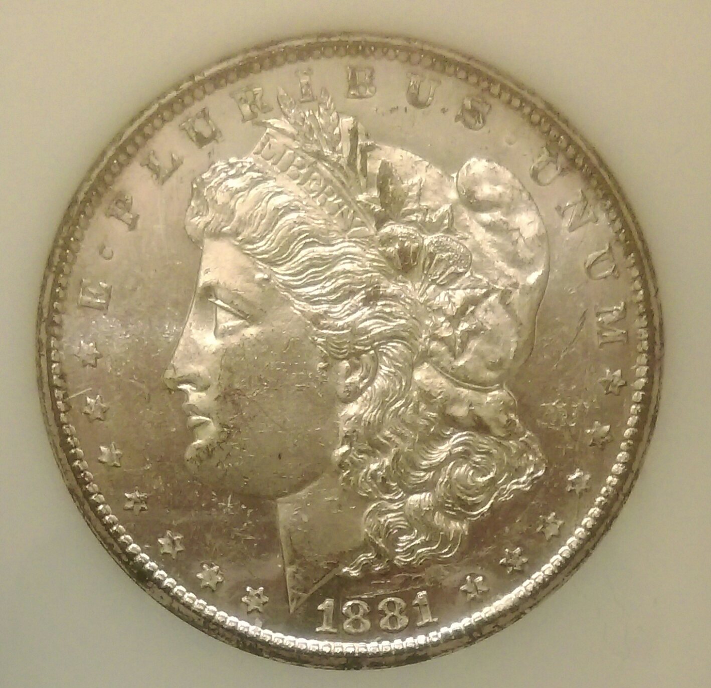 IMAG2870_1.jpg
