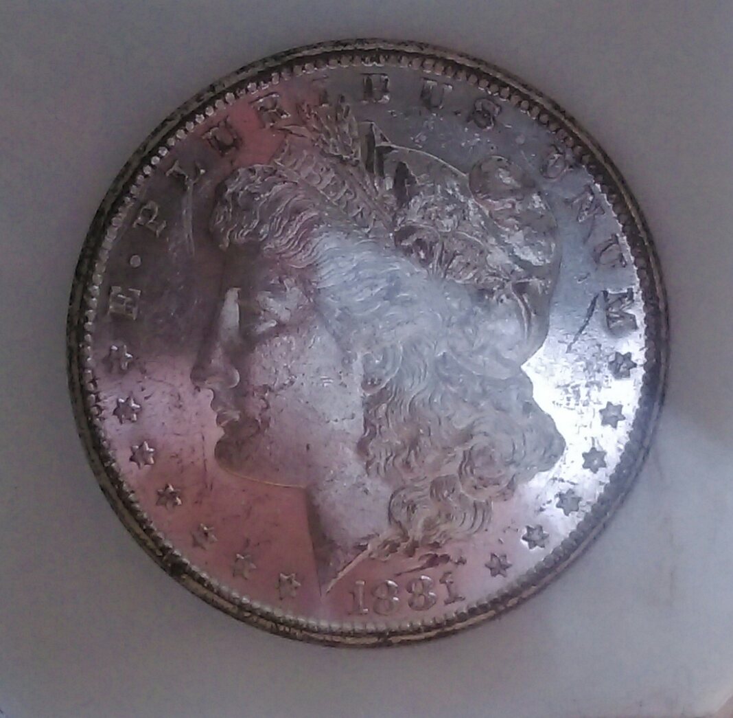 IMAG2887_1.jpg