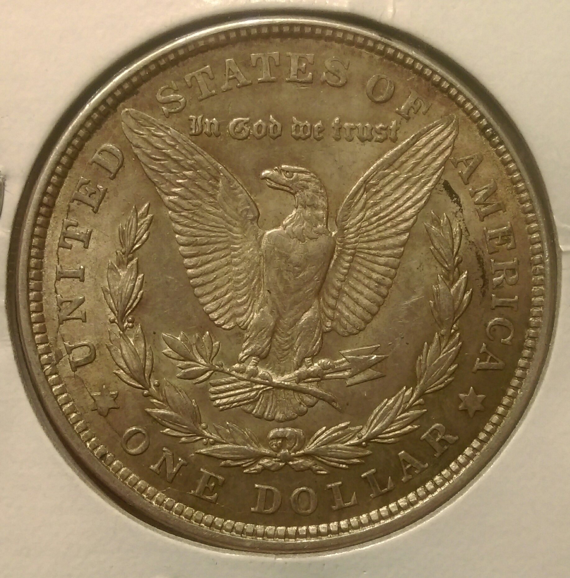 IMAG2903_1.jpg