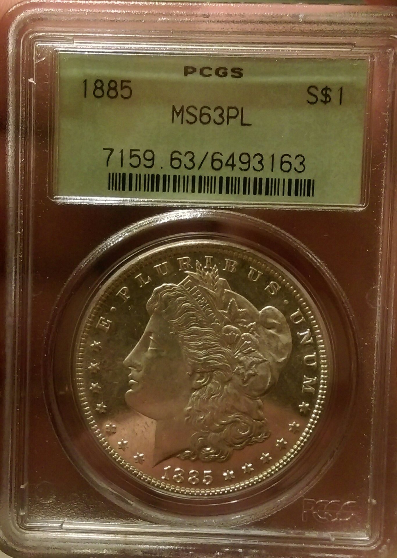 IMAG2922_1.jpg