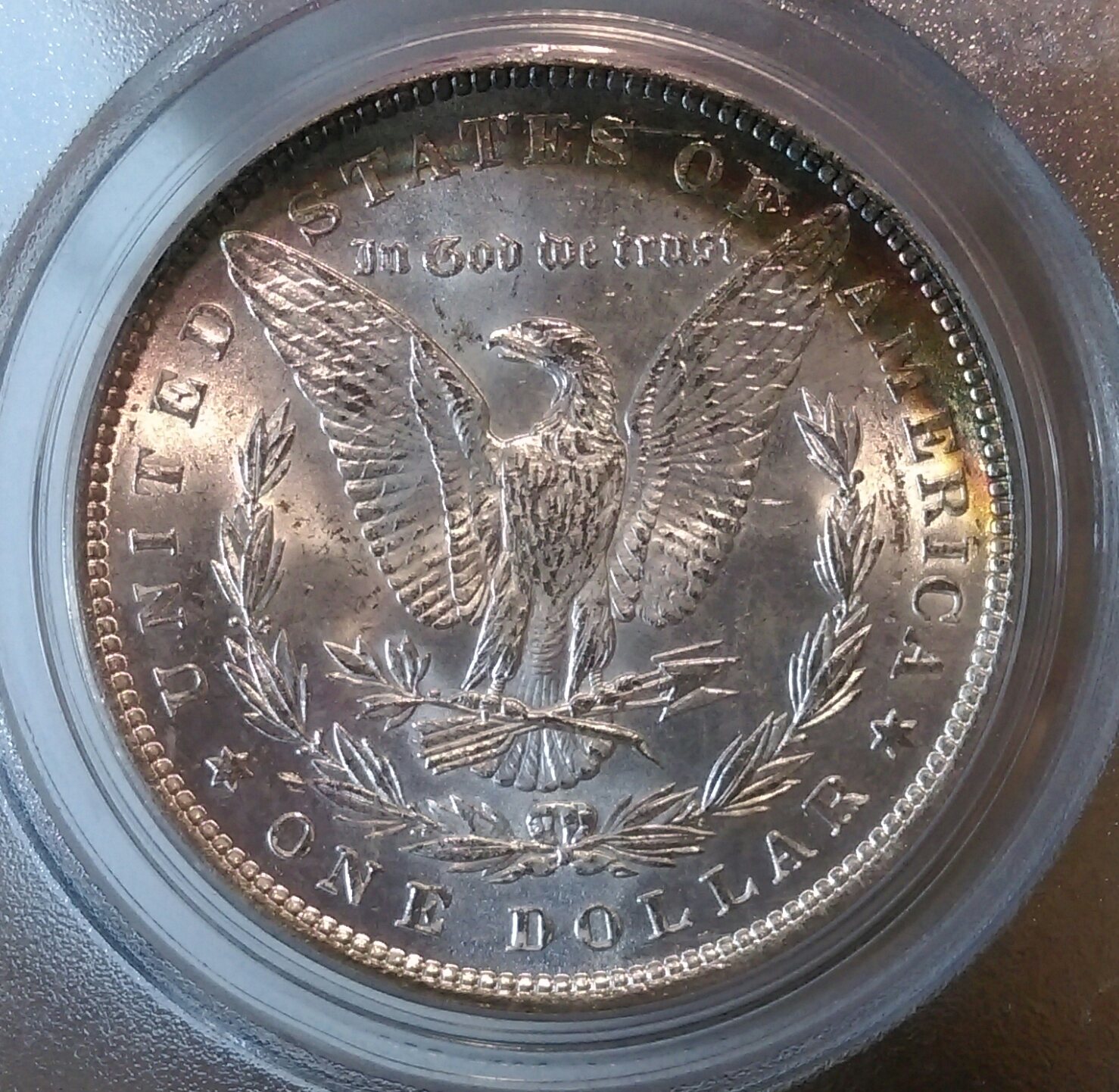 IMAG2992_1.jpg