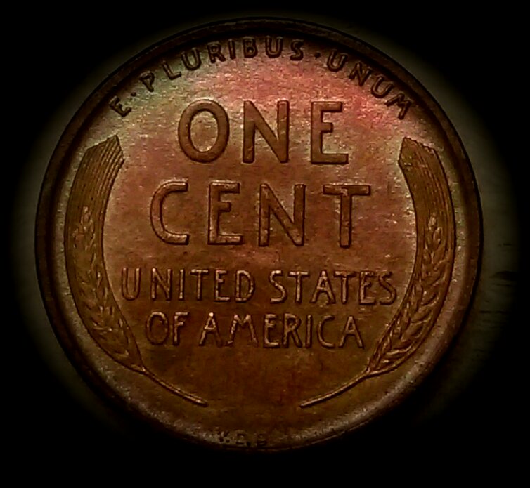 IMAG3061_1.jpg