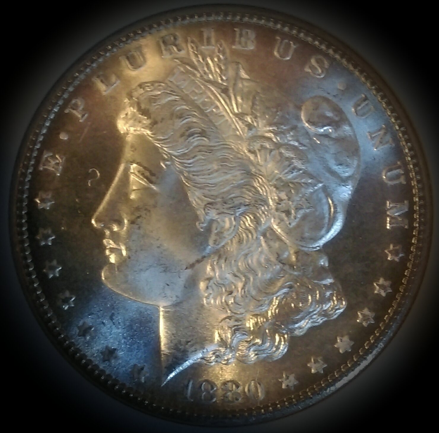 IMAG3075_1.jpg