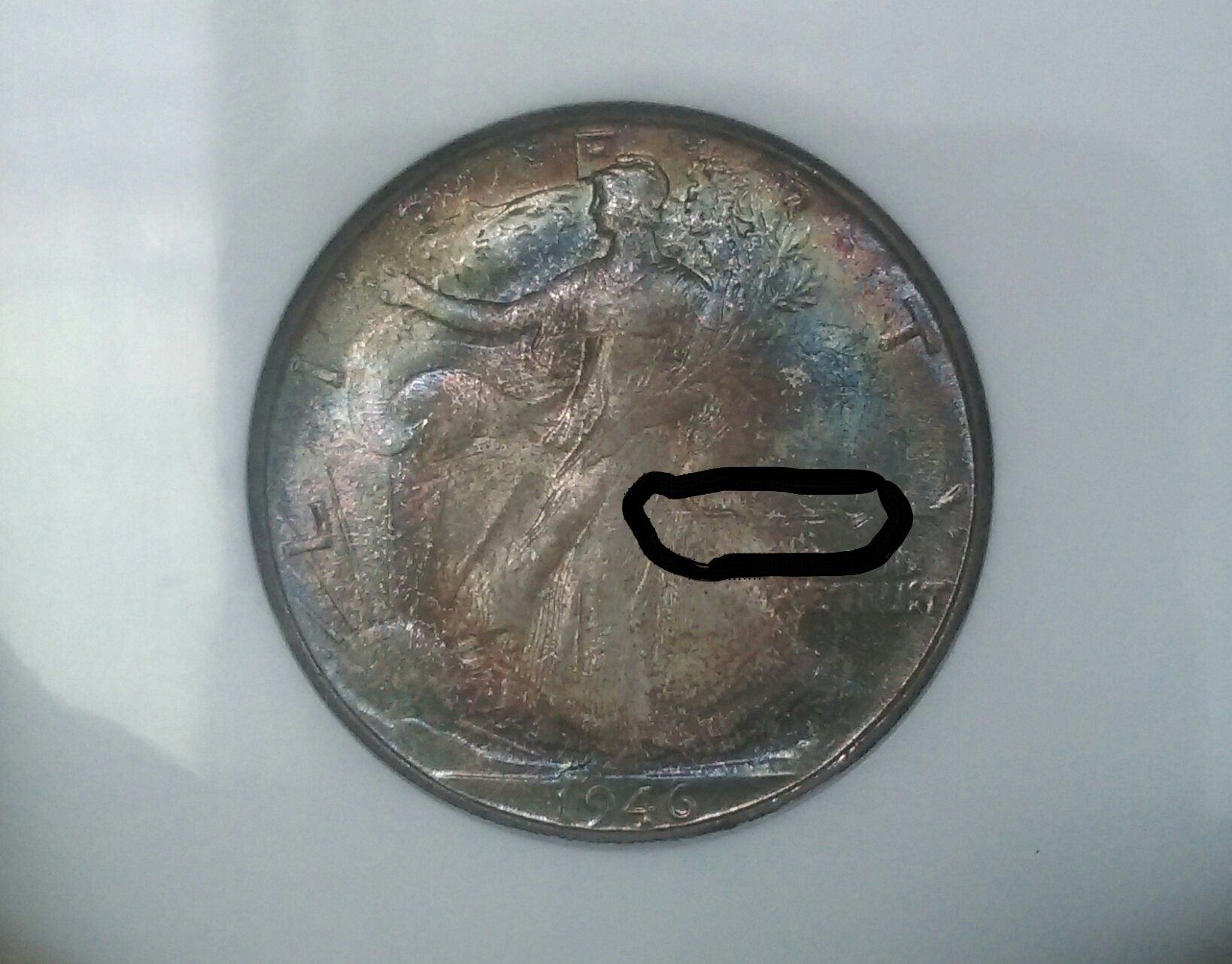 IMAG3134_2.jpg