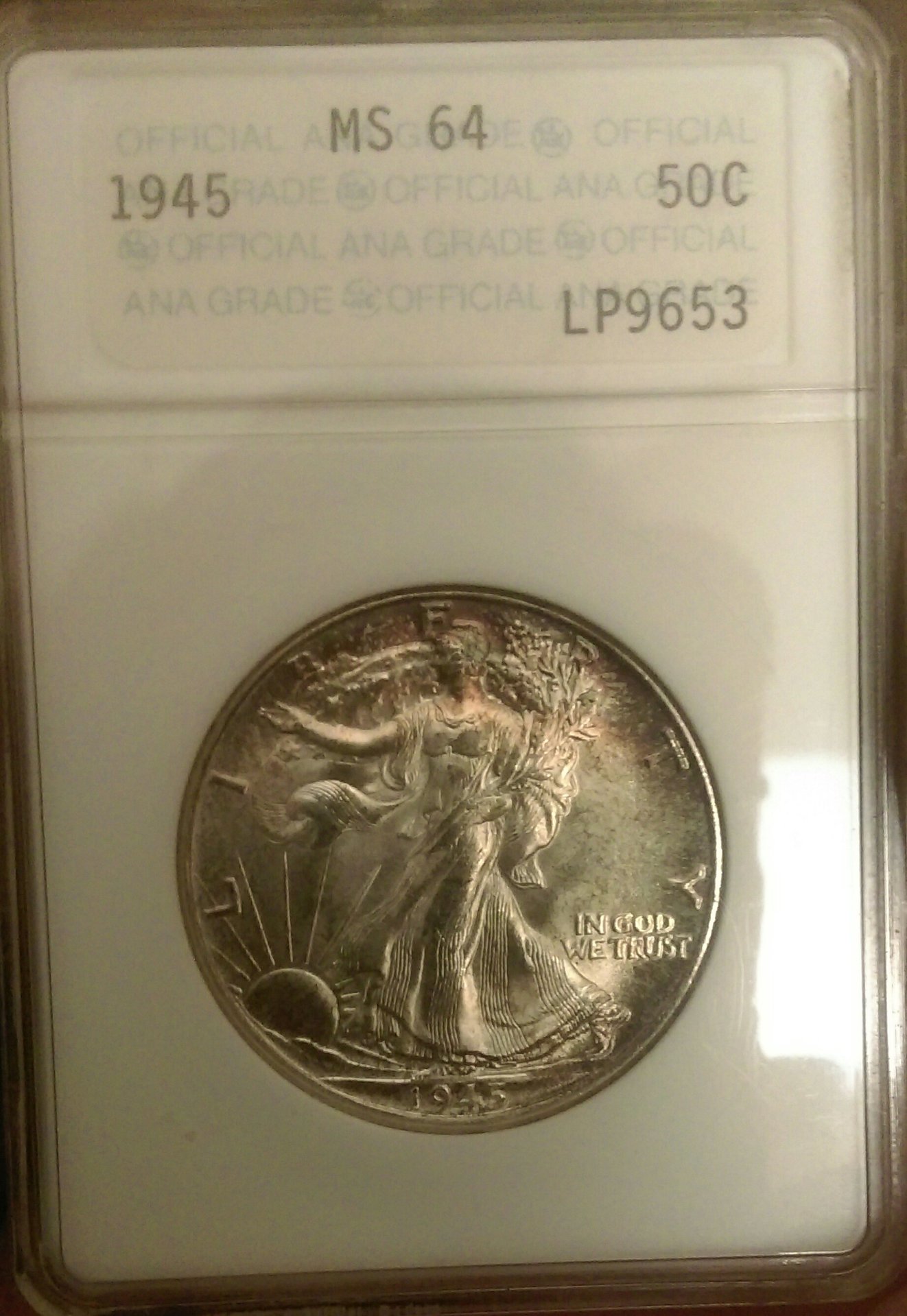 IMAG3167_1.jpg