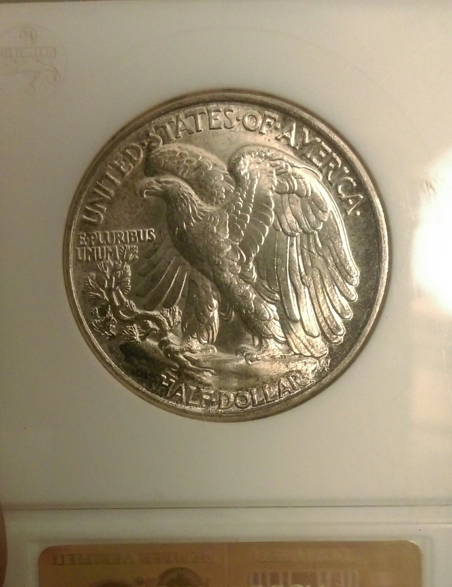 IMAG3169_1.jpg