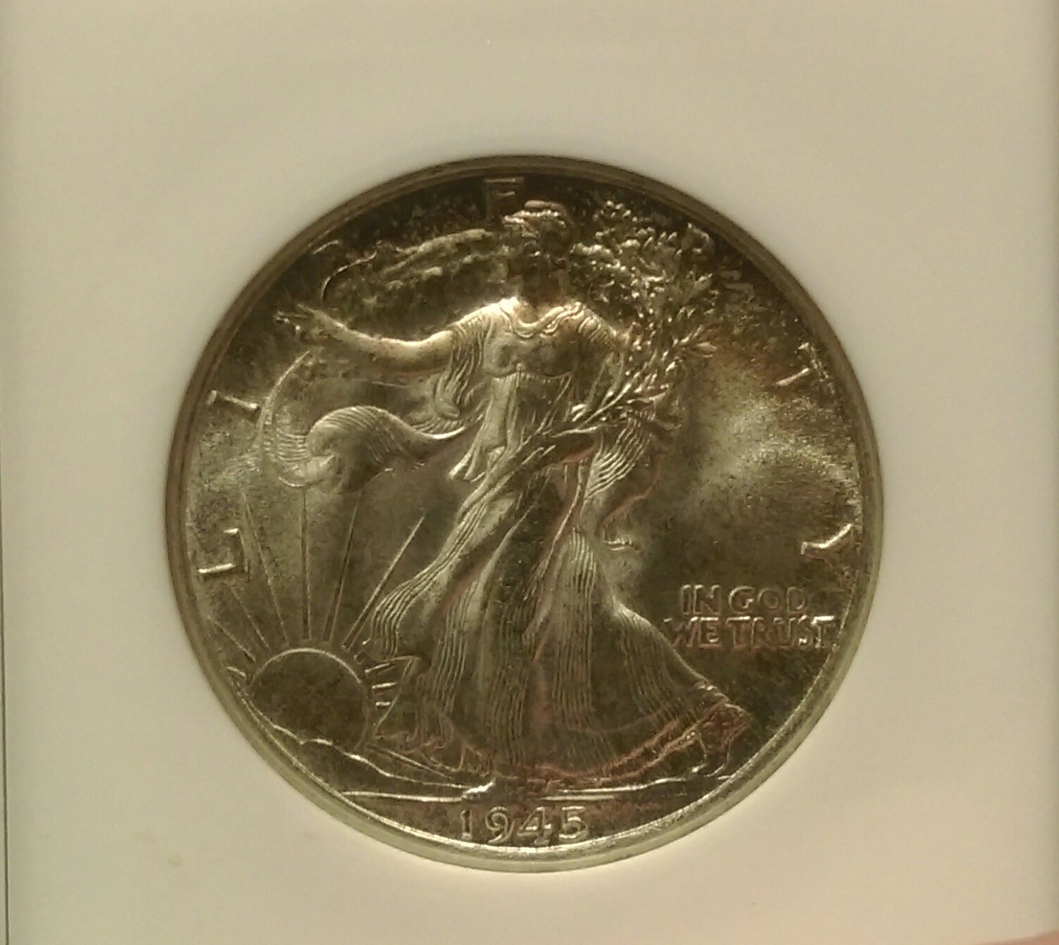 IMAG3180_1.jpg