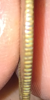 image (1)-1.png