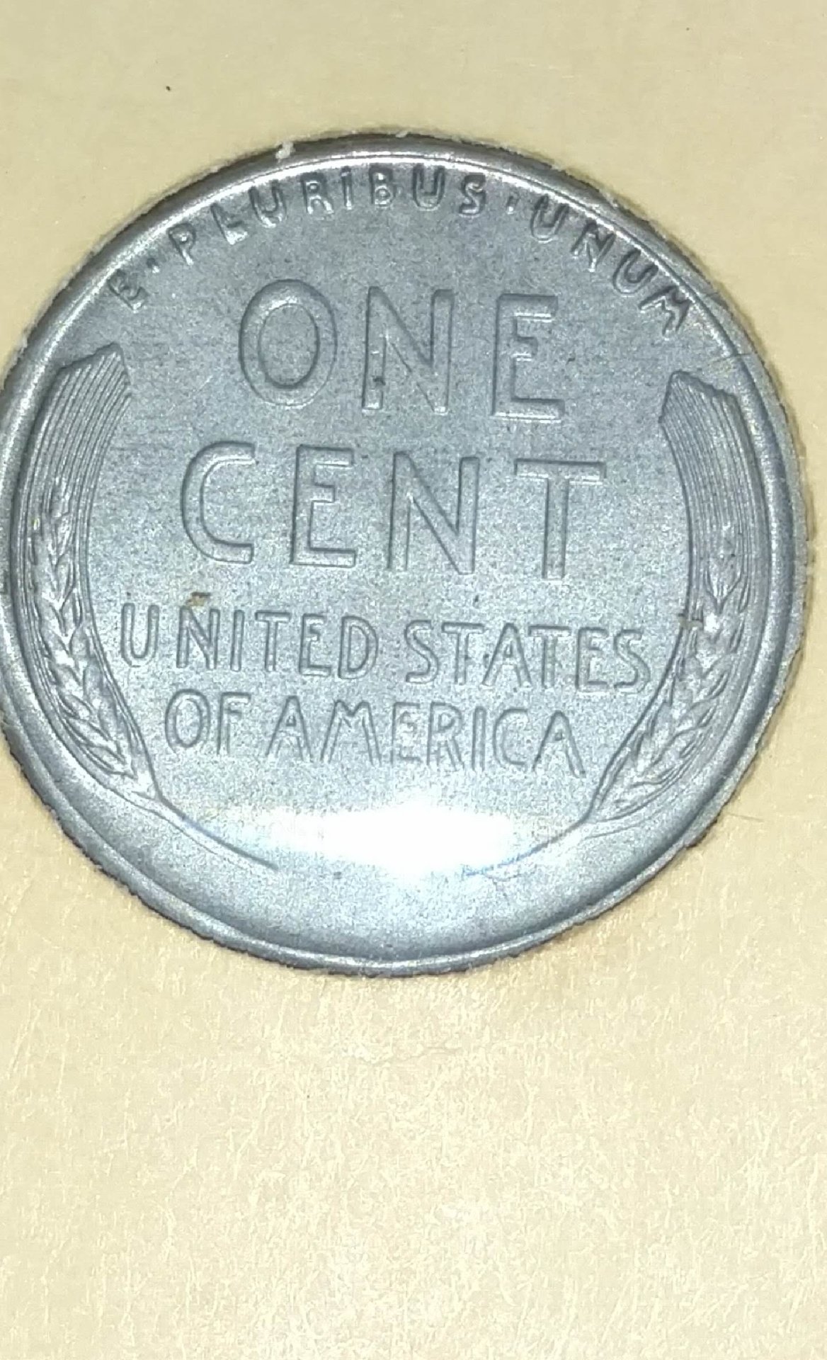 image-1.jpg