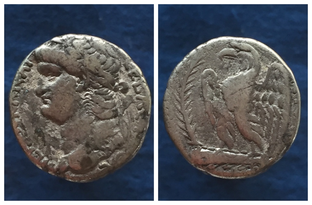 Image-1.jpg