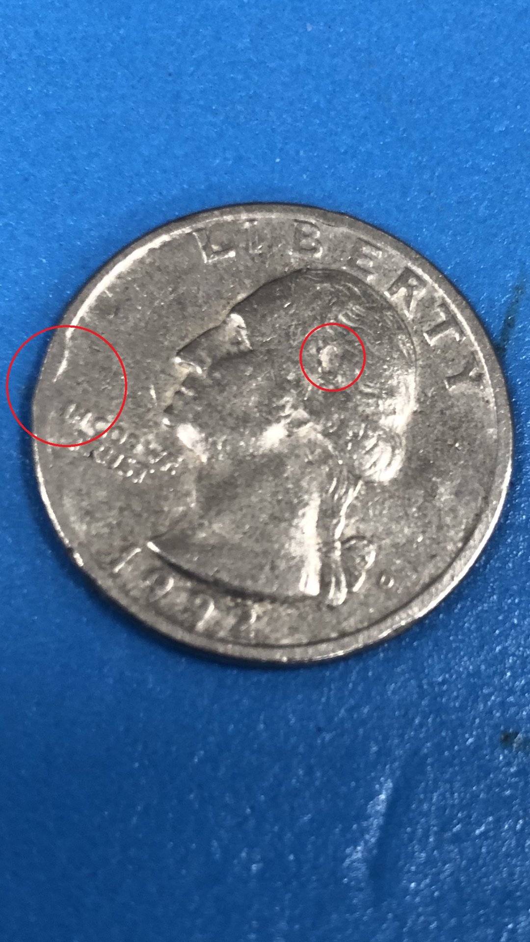 Image-1.jpg