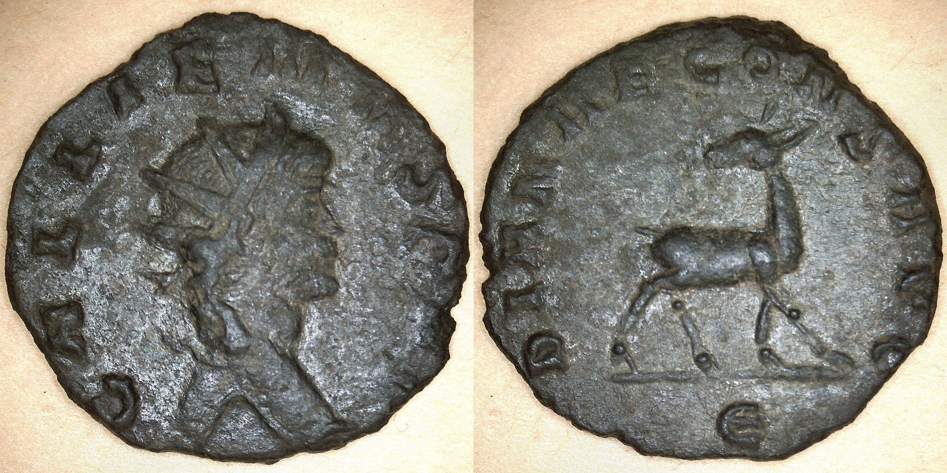 image(2).jpg