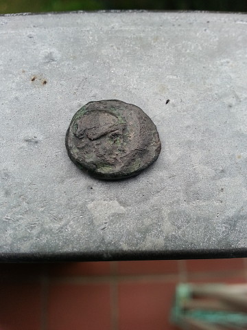 image-24.jpeg