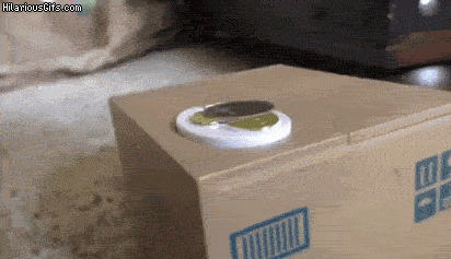 image.gif