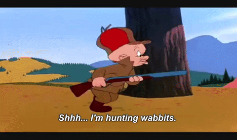 image.gif