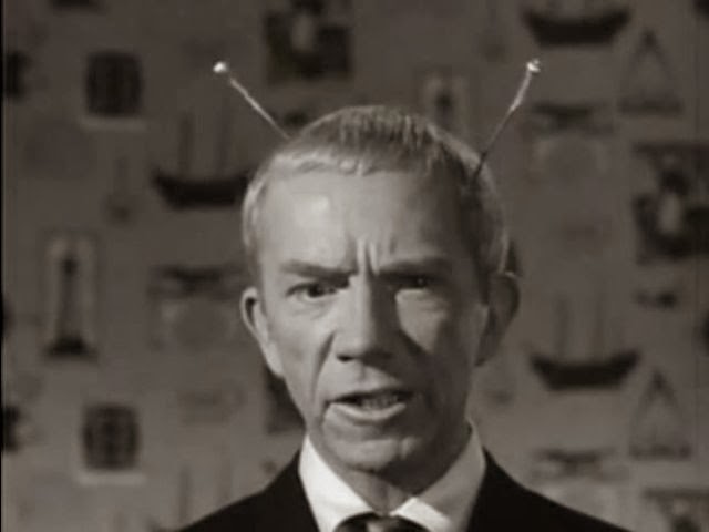 image.jpeg